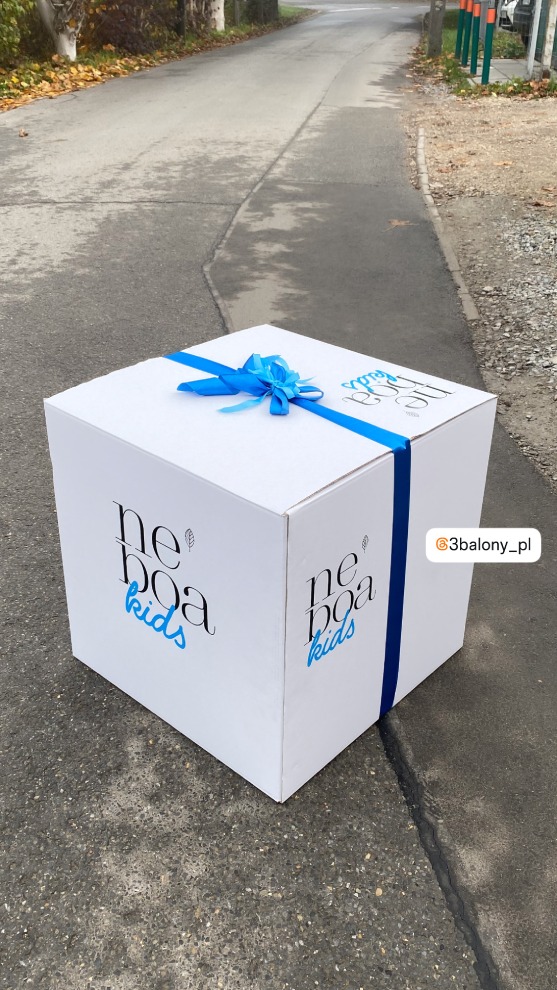 Pudełko 60 x 60 cm z twoim logiem w dwóch kolorach