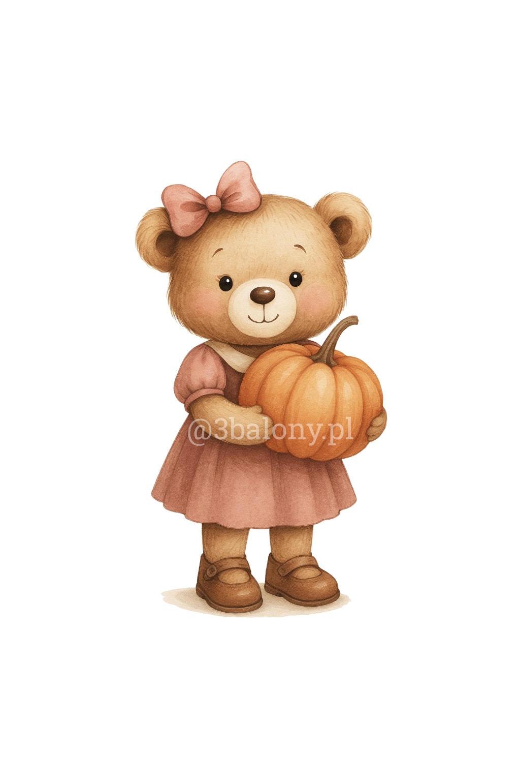 Misia Marysia z dynią